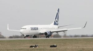 Aeroport Otopeni birdstrike